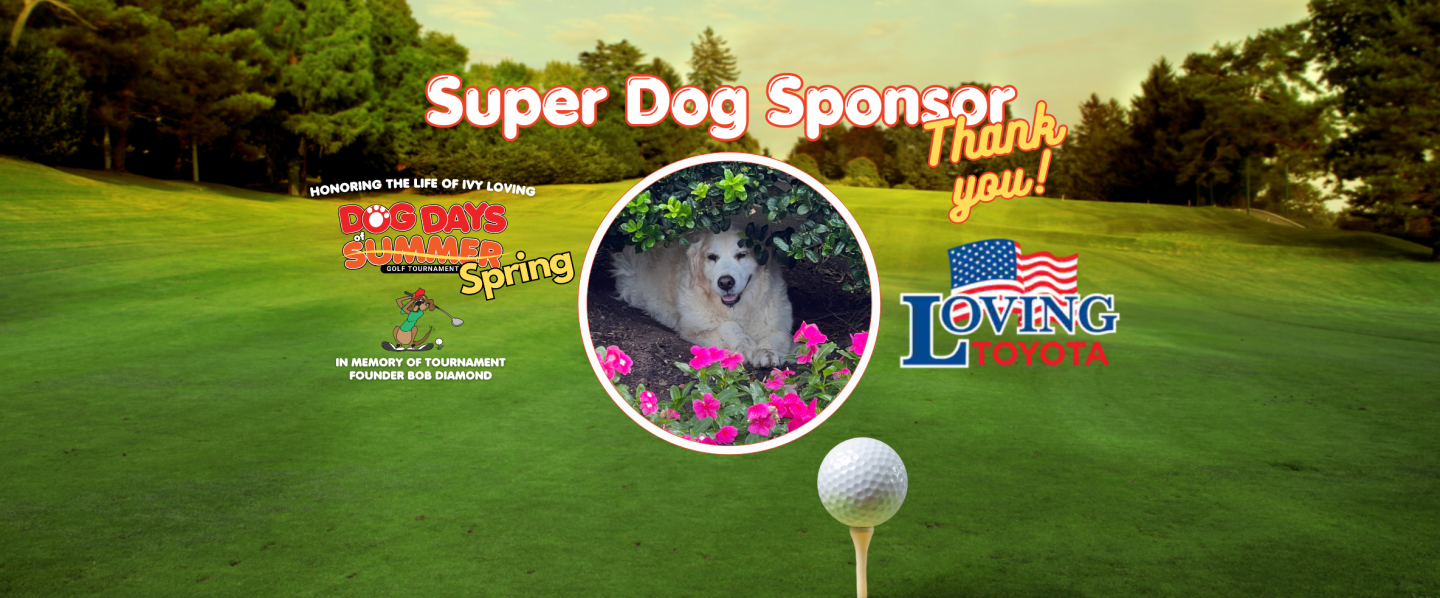 Thank you to our Super Dog Sponsor, Loving Toyota. Honoring the Life of Ivy Loving!